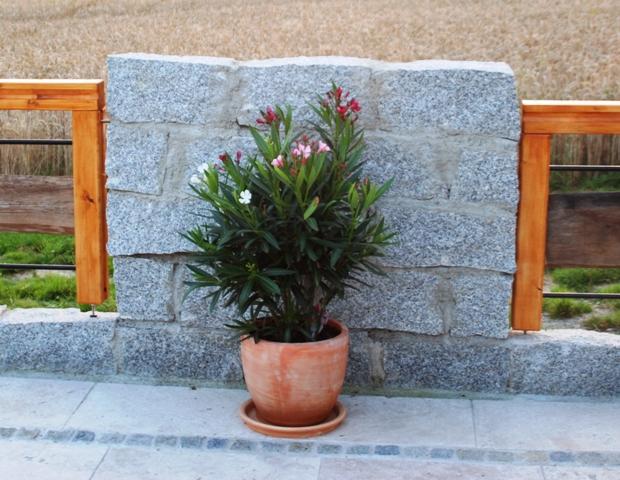 Was sonst........Oleander vor dem Geländer - Granitmauerstück